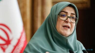 سخنگوی دولت اعلام کرد: هرگونه انسداد یا تعلیق سکوهای دیجیتال با دستور رئیسجمهور سخنگوی دولت اعلام کرد: هرگونه انسداد یا تعلیق سکوهای دیجیتال با دستور رئیسجمهور